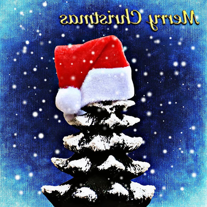 Navidad, abetos, nieve, arboles, gracioso, sombrero de Santa, tiempo de Navidad, linda, adviento, contemplativo, contemplación