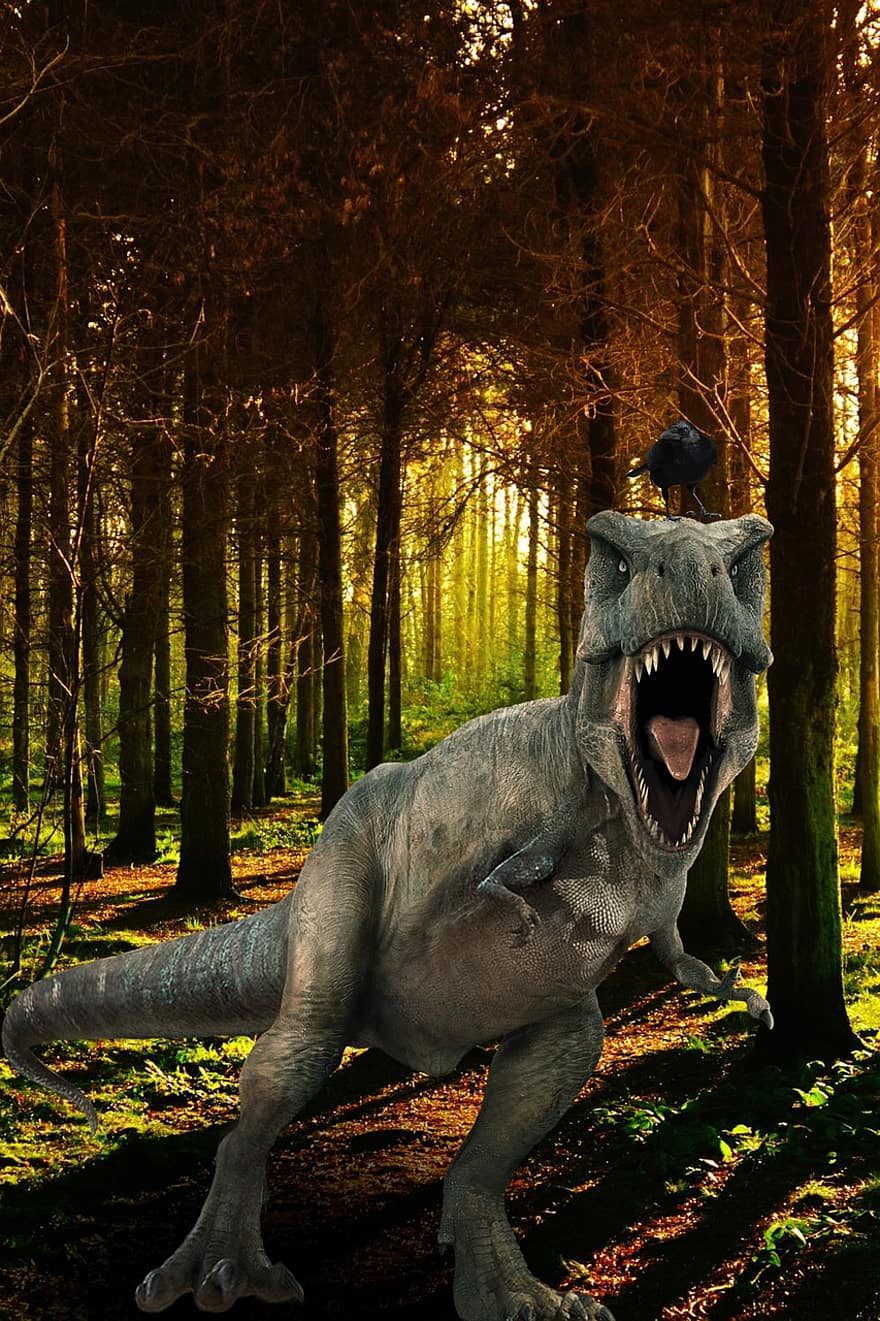Woods, Trees, Dinosaur, Crow, forest, tree, reptile, animals in the wild, horror, fantasy, extinct