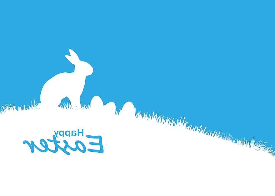 Pascua de Resurrección, liebre, conejo de Pascua, huevo, Conejo, animal, linda, primavera, orejas, naturaleza, encantador