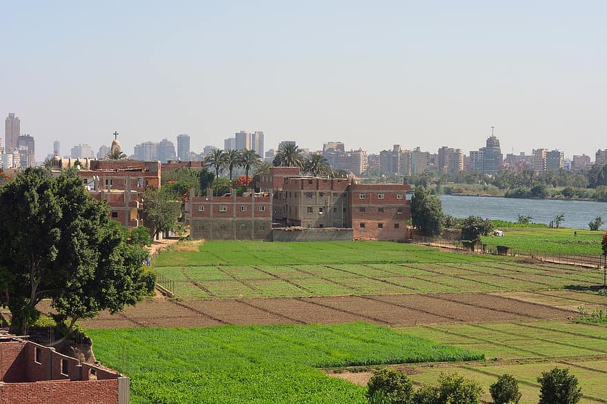 Каир, поля, река, Остров Дахаб, город, городской пейзаж, Египет, пейзаж