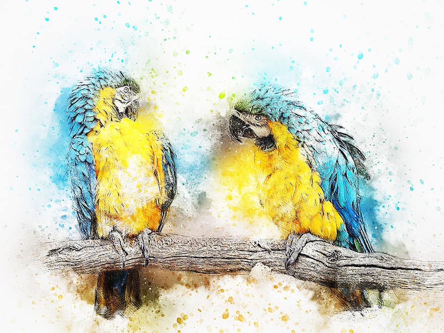 Bird, Parrot, Color, Animal, Art, Abstract, Vintage, Watercolor, Feather, Nature, Artistic