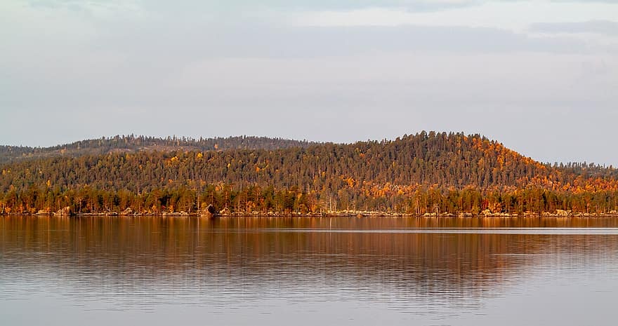 danau, hujan bercampur salju, Lapland, Finlandia, musim gugur, Ruska, hutan, refleksi, pohon, air, pemandangan