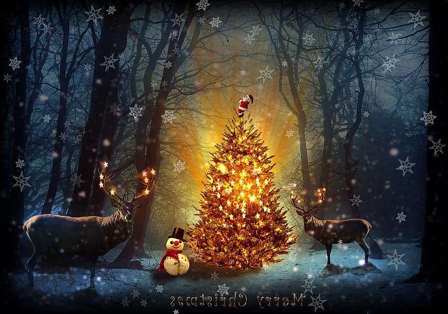 Navidad, photoshop, manipulación, árbol de Navidad