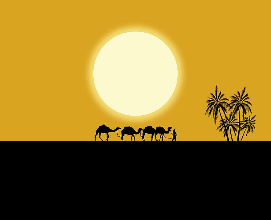 camellos, palma, palmeras, Desierto, puesta de sol, Dom, cielo, silueta, paisaje, naturaleza