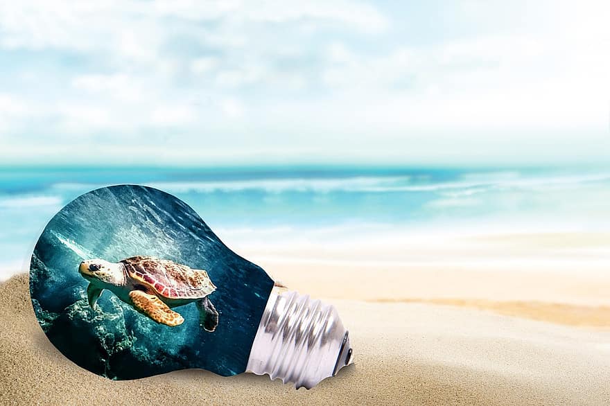 Light Bulb, Sea Turtle, Digital Art, Ocean, Beach, Coast, Sea, Water, Shore, Sand, Island