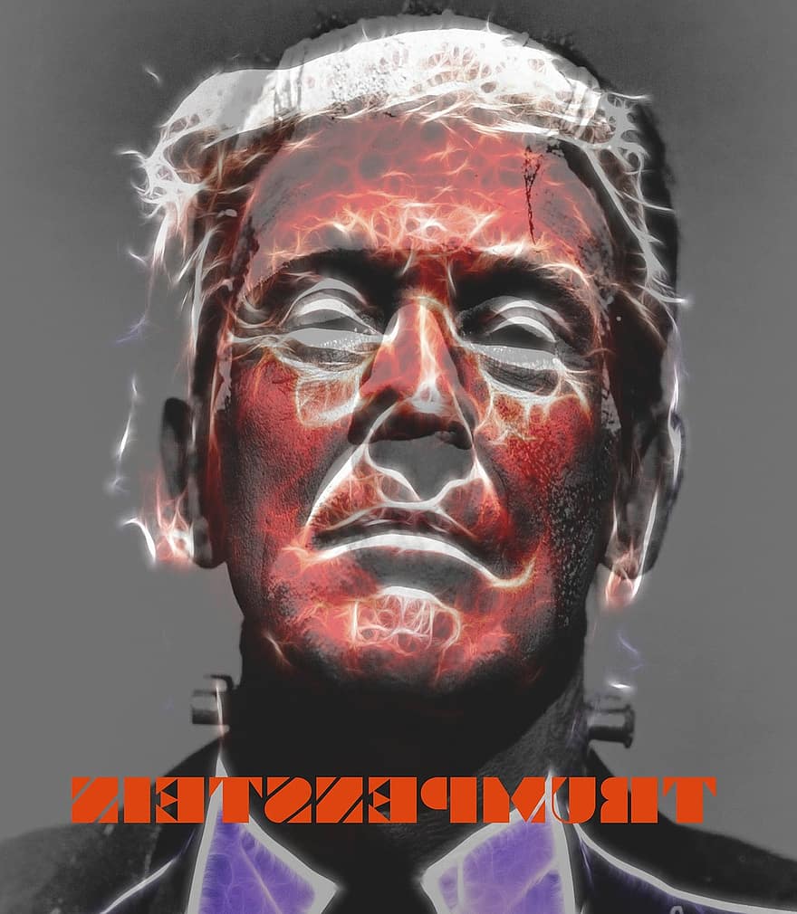 triunfo, candidato, Frankenstein, monstruo, política, presidencial, Estados Unidos, Donald, presidente, elección, America