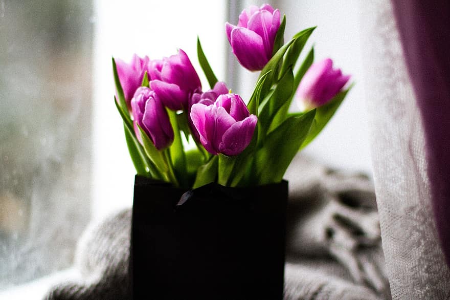 tulpės, gėlių puokštė, dovanų maišelis, efektingas, stilius, megztinis, gėlės, augalų, rožinės gėlės, žiedlapių, žydi
