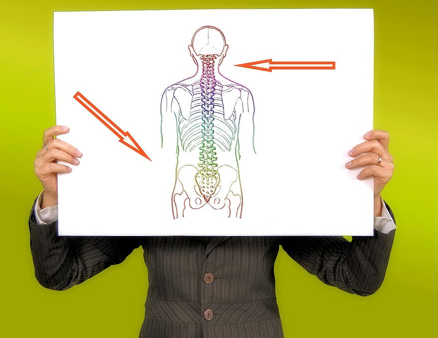 Shield, Note, Move, Sign, Disease, Spine, Health Check, Medical, Lumbar Disc Herniation, Intervertebral Discs, Supply