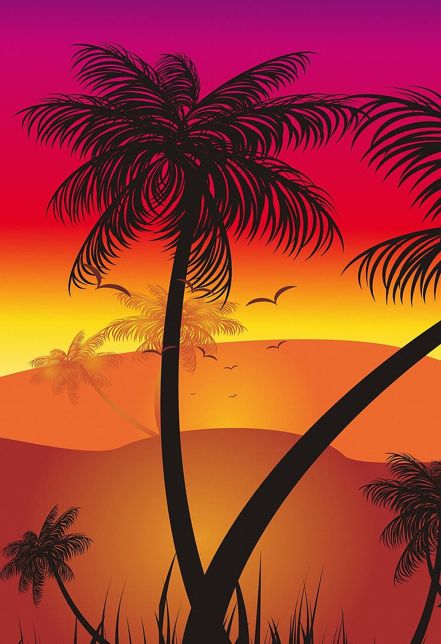 Strand, solnedgang, palmer, bakker, fugler, soloppgang, sommer, skumring, natur, landskap, ferie