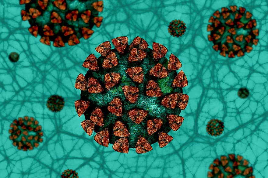 غشاء -19 ، فيروس كورونا ، سارس كوف 2 ، مجهر ، ابحاث ، جائحة ، وباء عالمي ، مرض ، الأعصاب