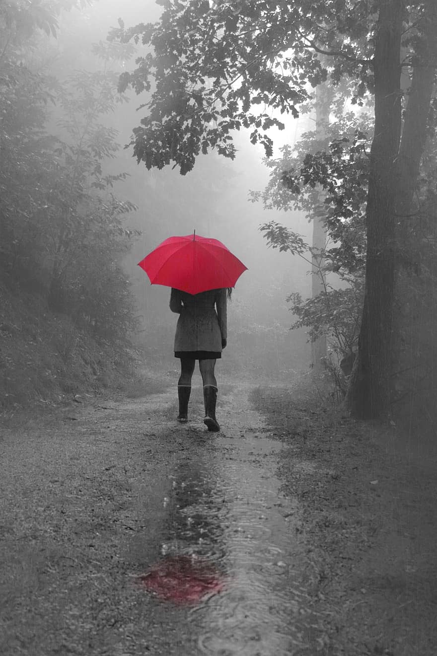 parasol, pada deszcz, las, Las