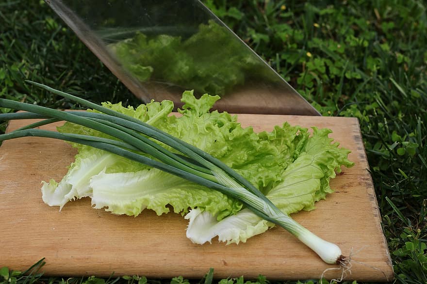 овочі, салат, зелений лук, Салат Ромен, Зелена цибуля, зелень, обробна дошка, урожай, виробляти, органічні, їжа