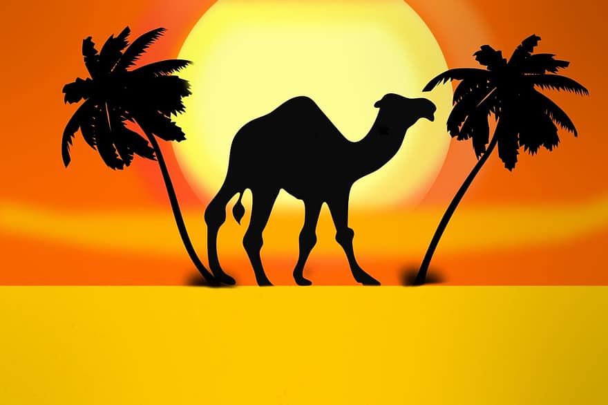 kameli, palmu, aavikko, aurinko, auringonnousu, keidas, Sahara, oranssi, keltainen, graafinen, kesä