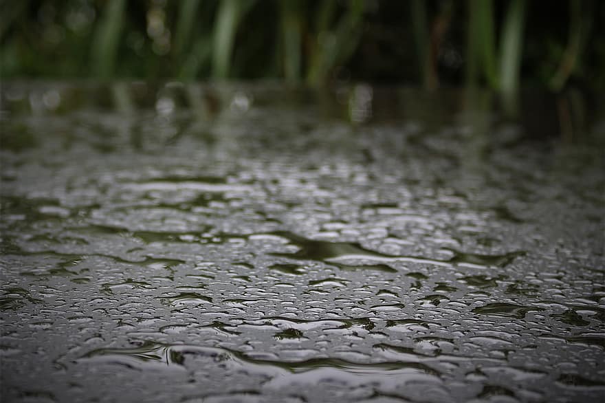 gota de chuva, água da chuva, gotículas, gota de água, telhado do carro, asfalto