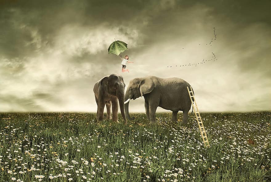 слоны, девушка, зонтик, цветы, луг, поле, радость, летающий, дружба, природа, фантастика