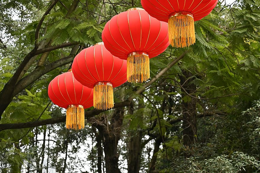 lucerna, nový rok, Asie, dekorace, kultur, oslava, čínská kultura, strom, balón, dřevo, tradiční festival