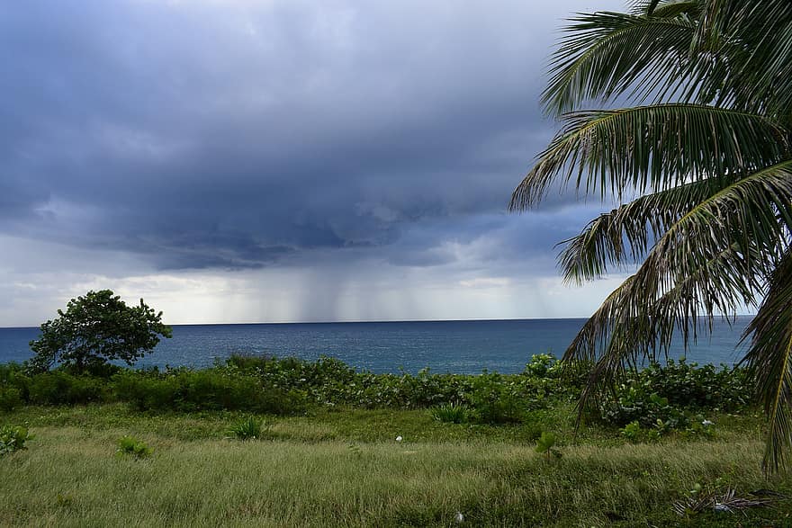비, 폭풍, 바다, 연안, 해안선, 목초지, 잔디, 비가 내리는, 하늘, 구름, 대양