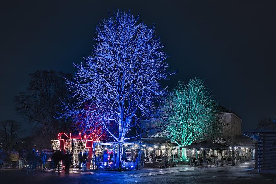 Wilhelm, Stuttgart, Winter, Beleuchtung, Zoo, Lichtinstallation