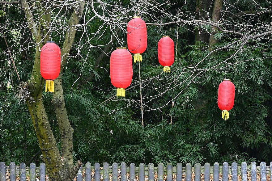 lanterna, Festival, decorazione, arte, celebrazione, culture, albero, sospeso, cultura cinese, lanterna cinese, legna