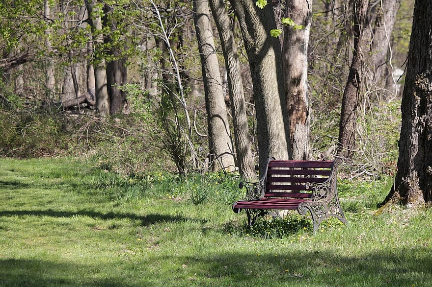 printemps, parc, forêt, des arbres, herbe, la nature, arbre, bois, banc, couleur verte, chaise