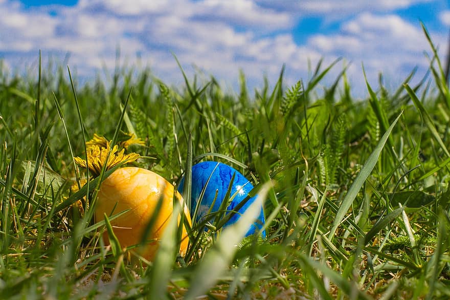 Velykų, Velykų kiaušiniai, žolė, veja, žalia spalva, vasara, pievos, pavasarį, Iš arti, mėlyna, geltona