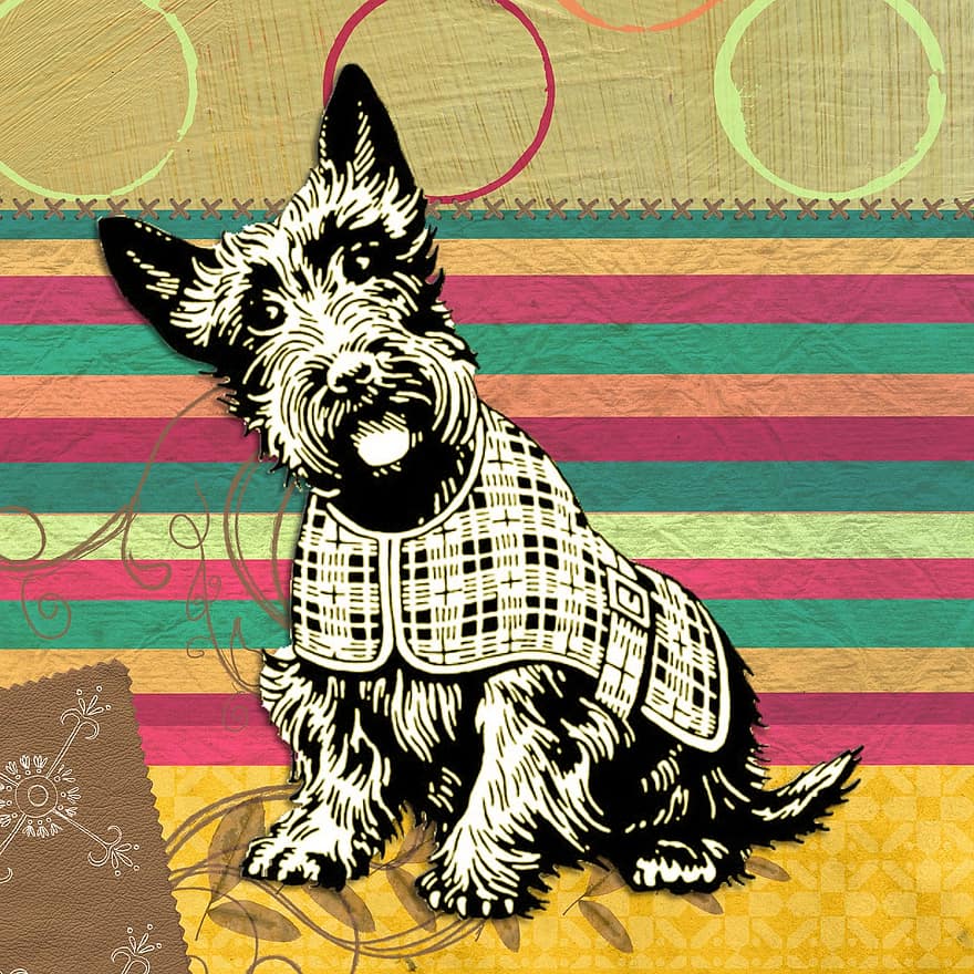 スコットランド人、犬、現代の、ティール、黄、コラージュ、縞模様、サークルデザイン、おもしろい、石、ロマンチック