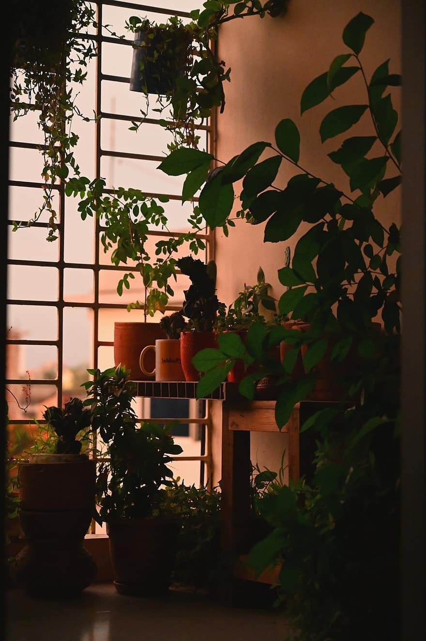 balkons, augiem, podos, dārzs, ziedu, robežu, vintage, dekoratīvs