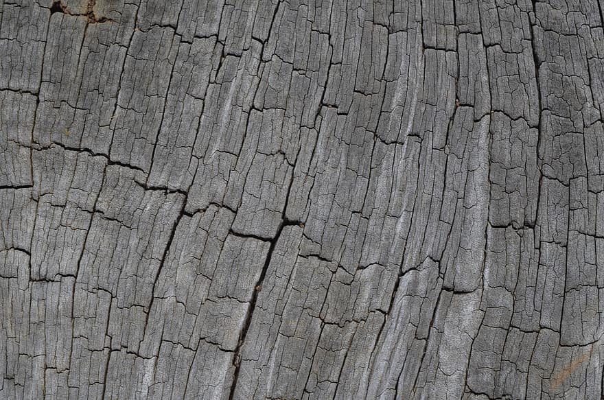 Wood, Texture, Background, Rustic, Surface, Tree, Trunk, Bark
