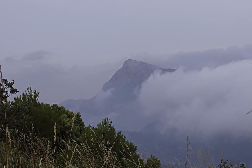 Montagne, brouillard, paysage, des nuages, de pointe, vue, des arbres, forêt, sommet de la montagne, chaîne de montagnes, herbe