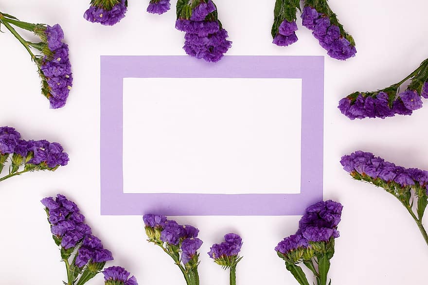 Cadre, Cadre violet, cadre floral, espace de copie, maquette florale, composition florale, pose à plat, carte de voeux, fleurs