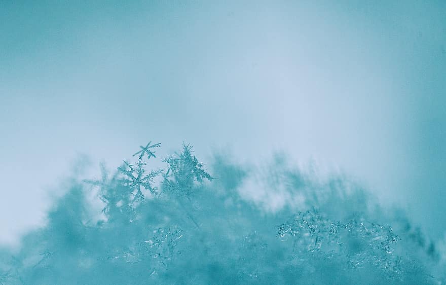 snowflakes, ledus kristāli, ziemā, makro, sniegs, zils, fona, abstrakts, tuvplāns, laikapstākļi, ūdens