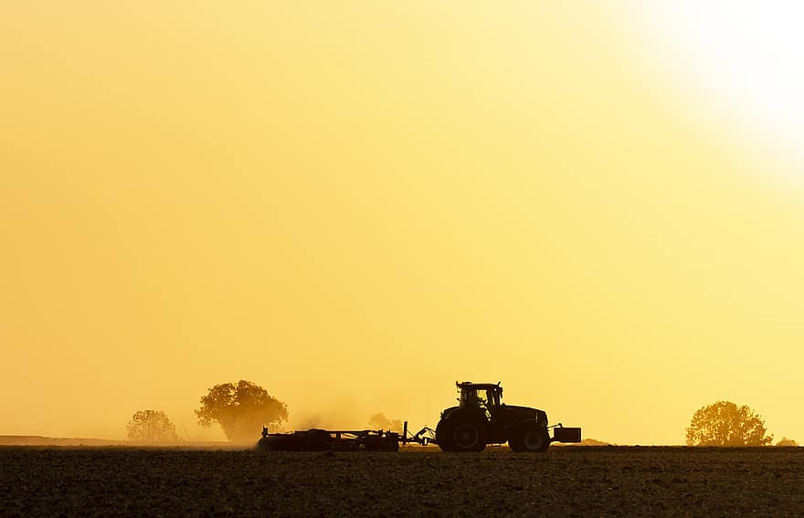 traktor, hospodařit, západ slunce, sklizeň, kombajn, siluety, pole, orná půda, zemědělství, pěstování, venkovský