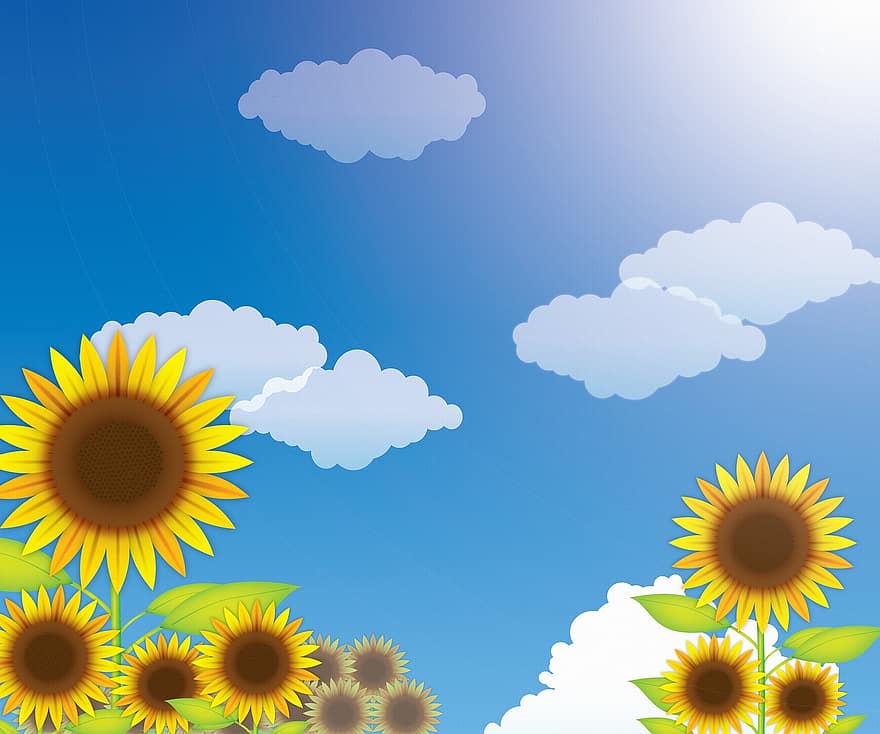 Sunflower Background, Sky, Floral, Leaves, Frame, Romantic, Flowers, Greeting, Pattern, Nostalgic, Vintage