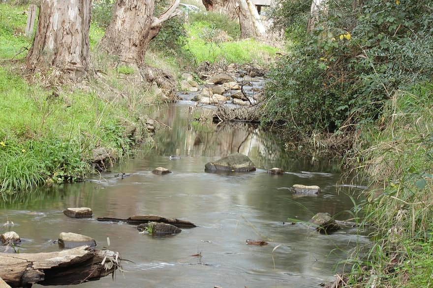 ποταμάκι, ποτάμι, ρεύμα, διατήρηση, φύση, morialta, Αυστραλία