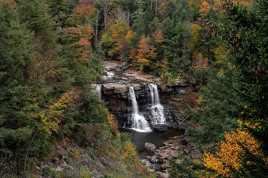 Blackwater Falls, cascade, Blackwater Falls State Park, forêt, paysage, la nature, Virginie occidentale