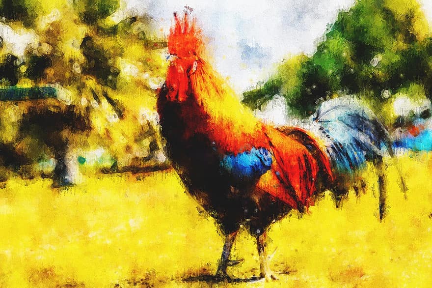 kuře, kohout, malování, vodové barvy, akvarel, zvíře, pták, slepice, peří, tvořivý, umělecký