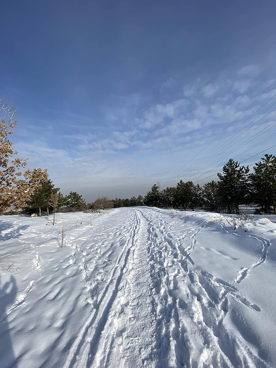 jalan, salju, musim dingin, jejak, pohon, dingin, embun beku, alam, snowscape