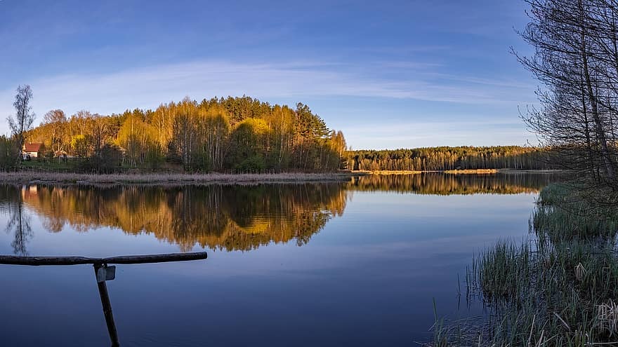 natură, lac, copaci, Bielorusia, pădure, zori de zi, toamnă, apă, peisaj, copac, reflecţie