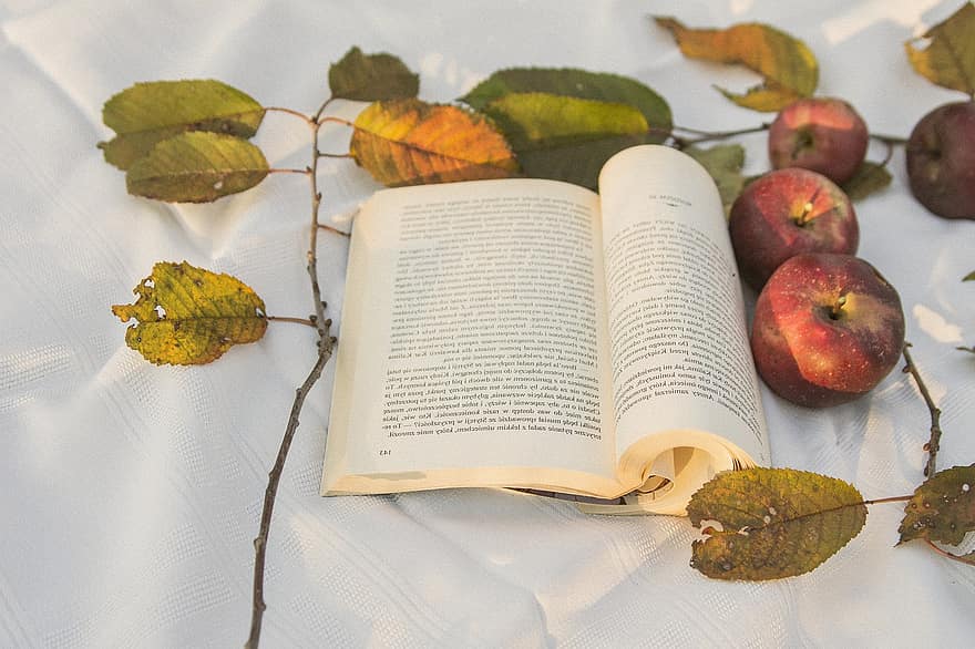 livro, outono, maçãs, biblioteca, leitura, literatura