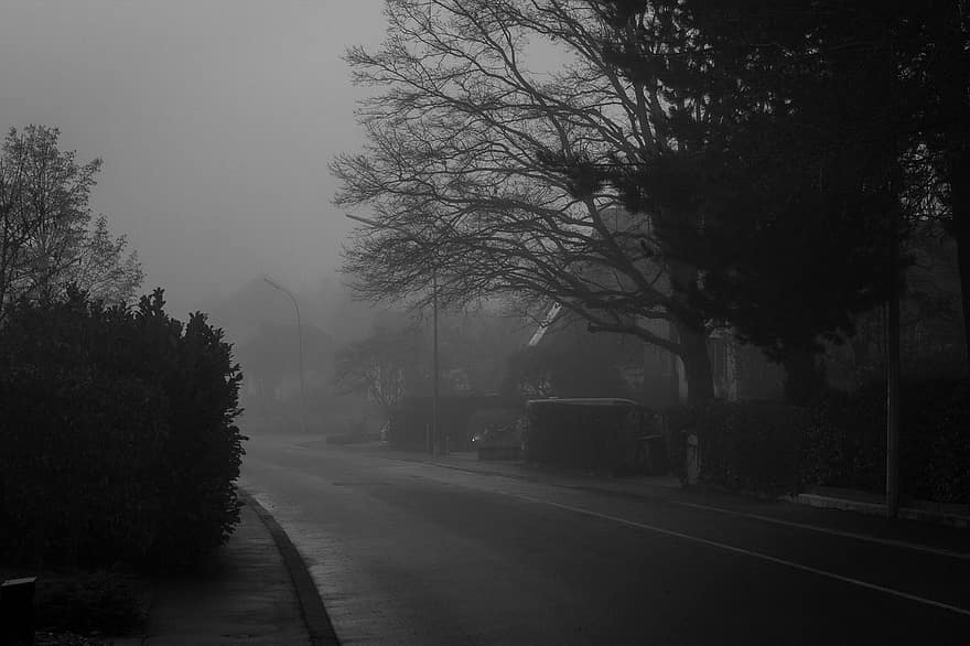 Tree, Street, Fog, Foggy, Road, Mist, Vignette, black and white, car, landscape, forest