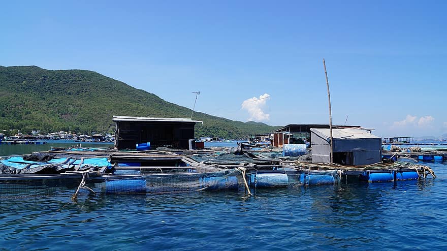 Fishing Village, Floating Village, Vietnam