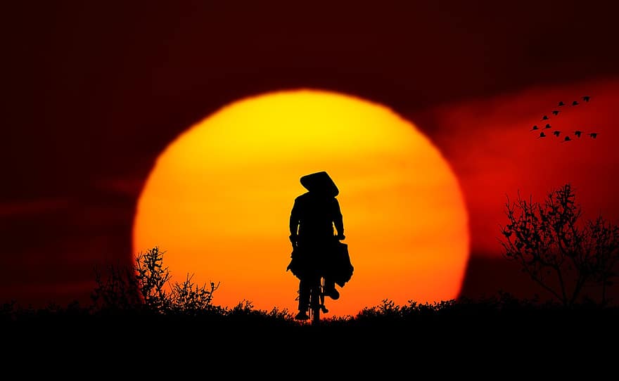por do sol, panorama, bicicleta, asiático, dirigir, nascer do sol, humor, iluminação, atmosfera, sozinho, solitário