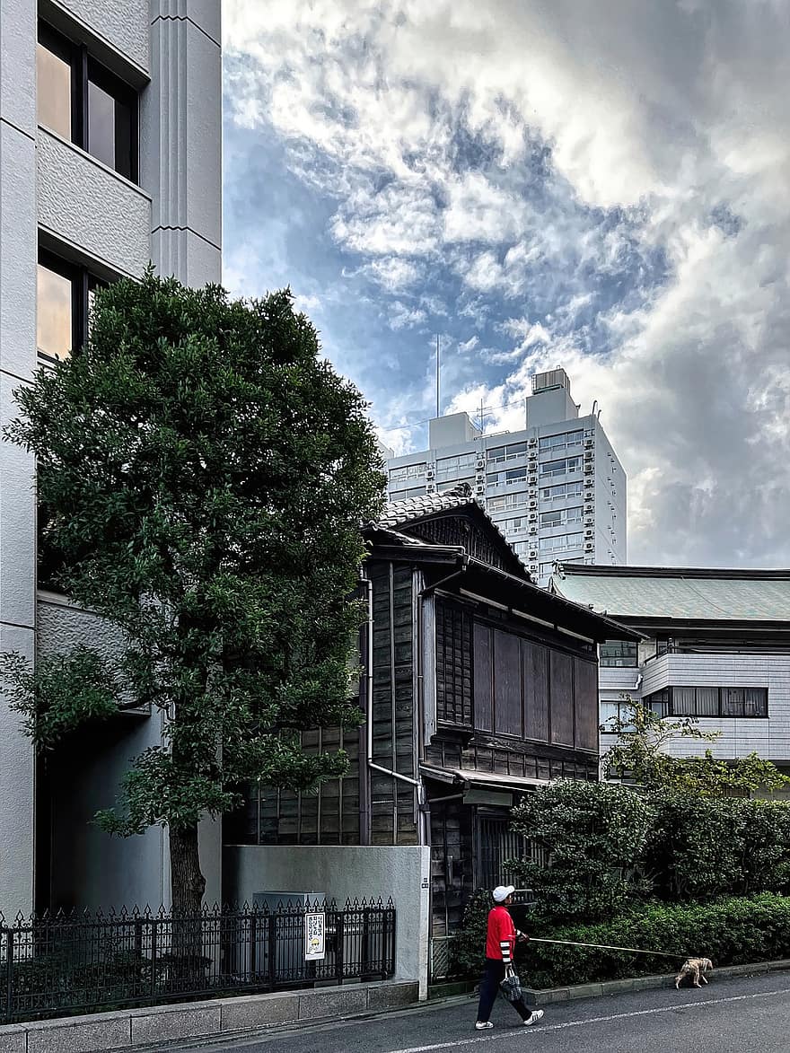 Tokyo, Japonia, câine de câine, câine mersul pe jos, casa de lemn, urban, trotuar, clădiri