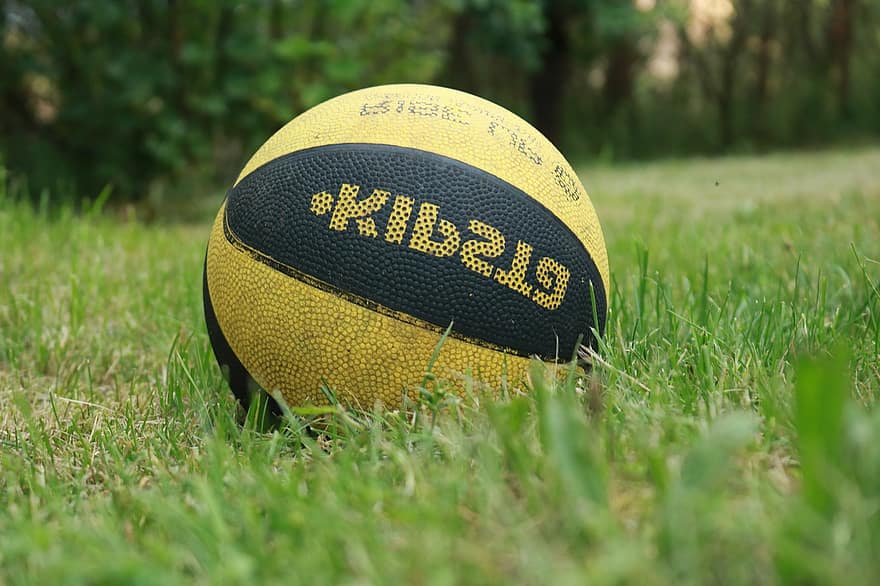 A labda, kosárlabda, fű, Sport, játék, sport-, verseny, játékok, pihenés, bevásárlókocsi, a bíróság