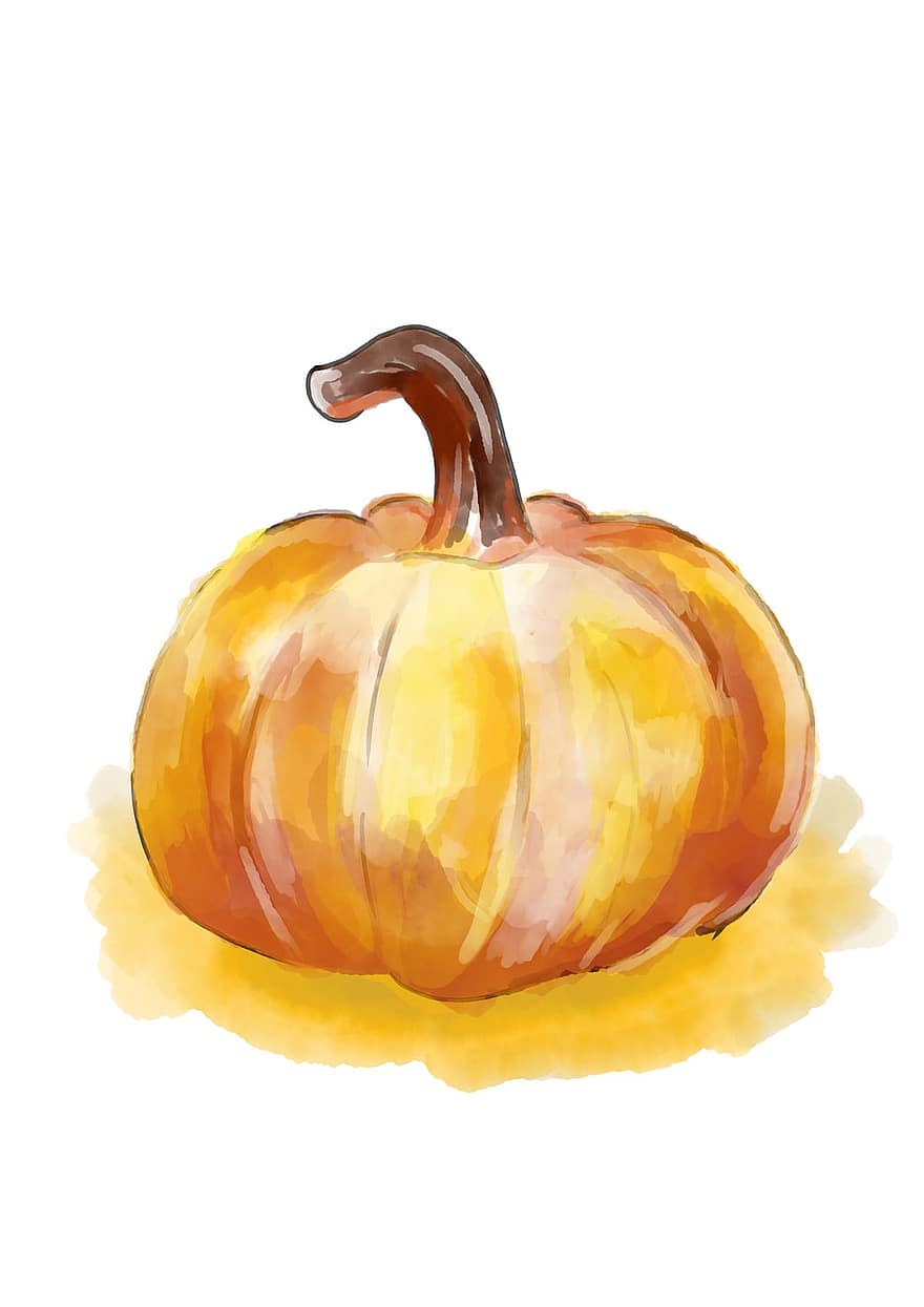 Pumpkin, Vegetable, Fruit, Food, Squash, Watercolor, autumn, halloween, october, yellow, illustration