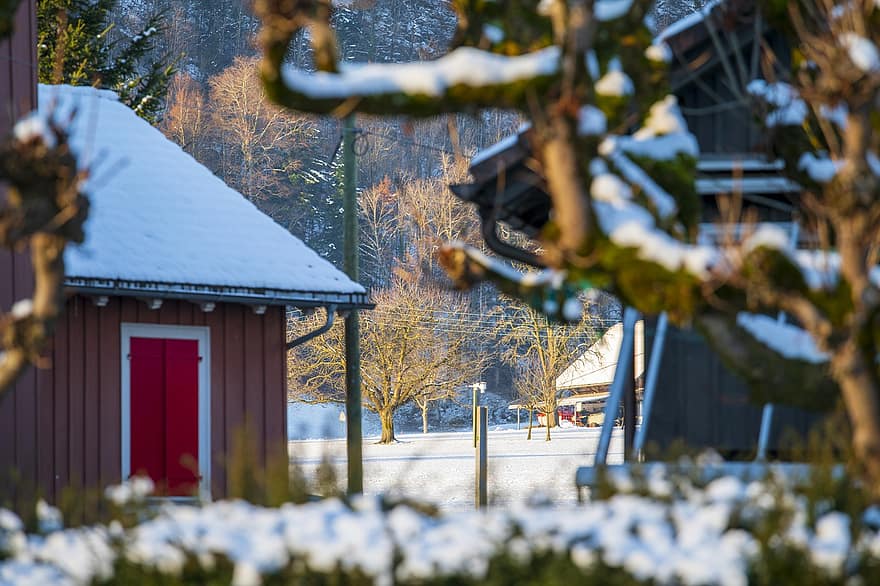 Maisons, cabines, village, neige, hiver, soir, Suisse, arbre, saison, bois, architecture