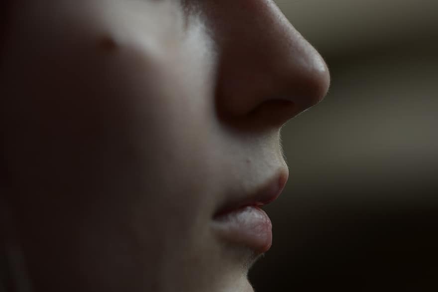nese, munn, side profil, person, kvinne, portrett, ansikt