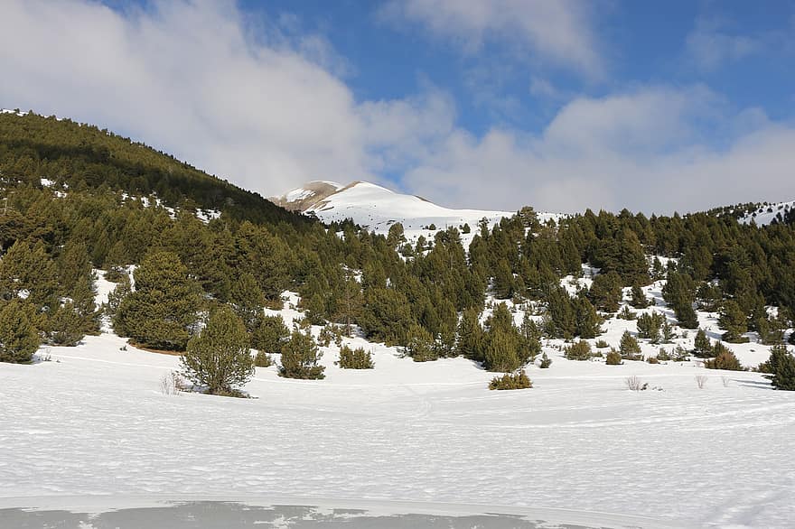 sniegs, kalns, debesis, ziemā, mežs, ainavu, koks, kalnu virsotne, sezonā, slēpošanas trase, zils