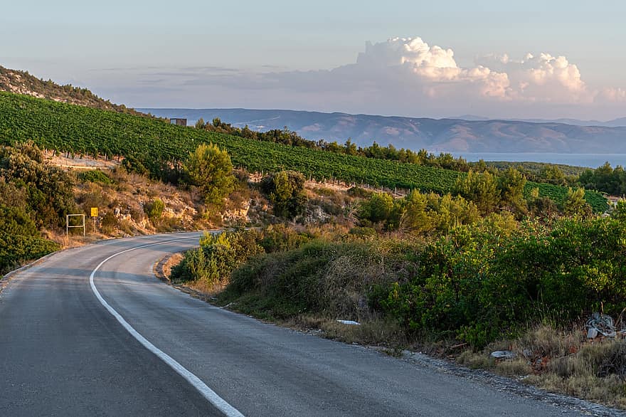 вино, пагорби, Хорватія, виноградник, виноградарство, краєвид, природи, мальовничий, сільській місцевості