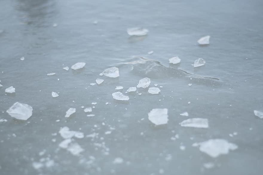 езеро, лед, замръзнал, скреж, студ